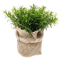 Groene kunstplanten tijm kruiden plant in pot   -