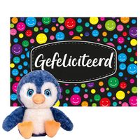 Keel toys - Cadeaukaart Gefeliciteerd met knuffeldier pinguin 25 cm - Knuffeldier