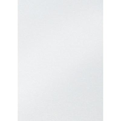 Fotokarton folia 50x70cm parelmoer 00 wit