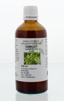 Natura Sanat Ginkgo biloba folia tinctuur Natura Sanat Ginkgo biloba folia tinctuur
