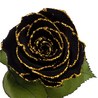 Longlife roos zwart gouden glitter Longlife roos zwart gouden glitter