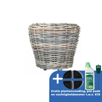 Drypot op wielen d83h70cm grijs