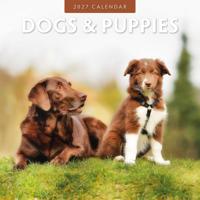 Dogs and Puppies Kalender 2027