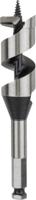 Bosch Accessoires Houtslangenboor, zeskant 28 x 100 x 160 mm, d 11,1 mm 1st - 2608585710