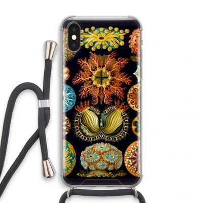 Haeckel Ascidiae: iPhone X Transparant Hoesje met koord