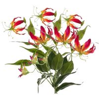 2x Gloriosa/Klimlelie kunstbloemen/kunstplanten rood/geel 75 cm - thumbnail