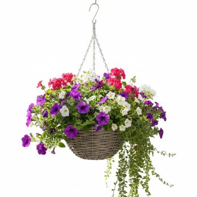 Hangmand - D30 x H15 cm - gevlochten - hangende plantenbak - aan ketting - hanging basket