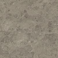 Atlas Concorde Marvel Meraviglia AJJD vloertegel 60X60cm 9mm mat ret.R10 grigio eleg.