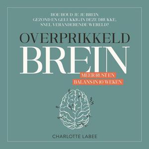 Overprikkeld Brein