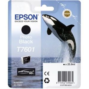 Epson inktpatroon foto zwart T 7601