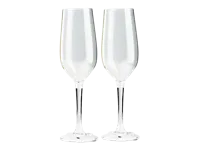 Gsi Champagne glazen 2st.