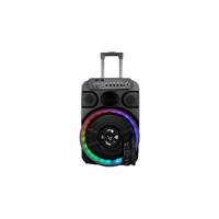 Sunstech Muscles 12 Zwart 40 W Bluetooth luidspreker
