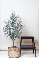 Kunst Olijfboom - Olea europaea - Olijfboom - 115 cm