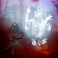 Entity - CD (0193428524132) - thumbnail