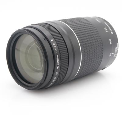 Canon EF 75-300mm F/4-5.6 III occasion