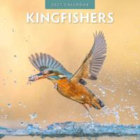 IJsvogel Kalender 2027