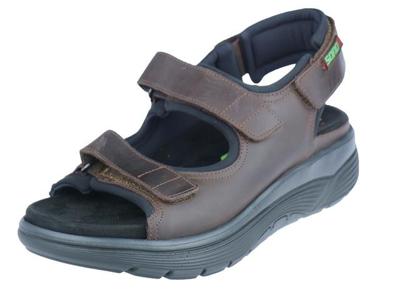 Mephisto Wilfried