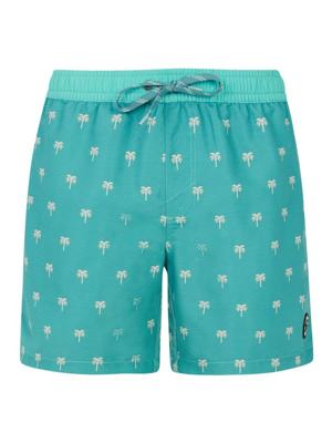 Protest PRTParco Zwembroek Heren Wave Green XL