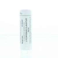 Homeoden Heel Lycopodium clavatum 30CH 6 Gram