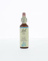 Vine/wijnrank 20 Milliliter