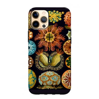 Haeckel Ascidiae: iPhone 12 Pro Max Tough Case