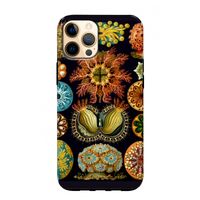 Haeckel Ascidiae: iPhone 12 Pro Max Tough Case