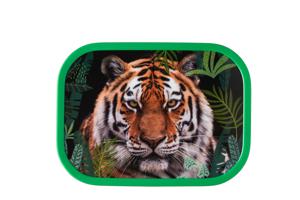 lunchbox campus - wild tiger