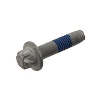 Schroef 31043
