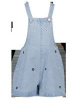 Overall - Blauw