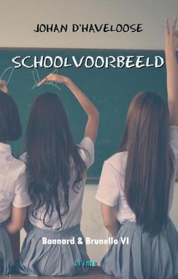 Schoolvoorbeeld (Paperback)