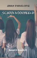 Schoolvoorbeeld (Paperback)