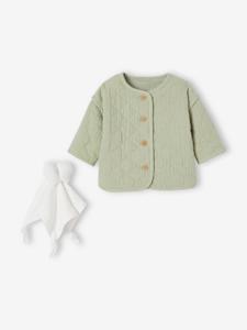Babyset met gewatteerd jasje en knuffel saliegroen