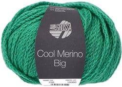 Lana Grossa Cool Merino Big 226 Lentegroen