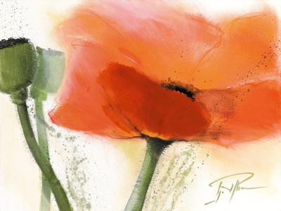 Kunstdruk Gerd Pflumm - Faszination Mohn III 80x60cm