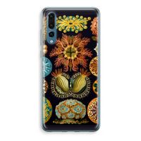 Haeckel Ascidiae: Huawei P20 Pro Transparant Hoesje