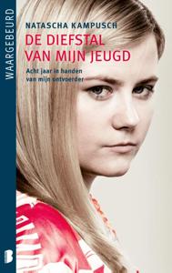 De diefstal van mijn jeugd (Paperback)