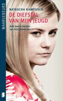 De diefstal van mijn jeugd (Paperback)