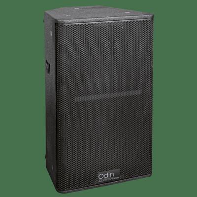 DAp B-stock Odin SF-12A 12 inch fullrange speaker