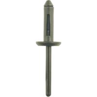 KS Tools 420.1870 Kunststof klinknagel voor VW, verpakking van 10 stuks