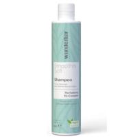Wunderbar Care Smooth'n Soft Shampoo 300ml