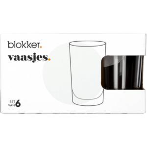 Blokker vaasjes - set van 6