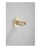 Handdouchehouder SaniClear Plus | Messing | Rond | Geborsteld messing