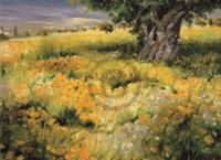 Kunstdruk Christian Sommer - Sommerbaum 128x93cm