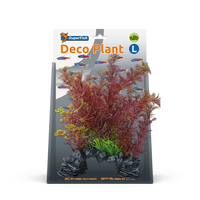 Deco Plant L Cabomba Red