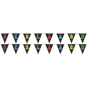 2x Feestartikelen geslaagd vlaggenlijntje/slingertje 4 m holografisch/varsity letters