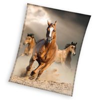 Fleece plaid Paarden 150 x 200 cm - thumbnail