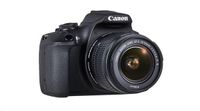 Canon EOS 2000D + EF-S 18-55 IS II + EF 50mm 1/2" SLR camerabody 24,1 MP CMOS 6000 x 4000 Pixels Zwart - thumbnail