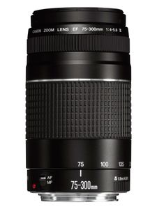 Canon EF 75-300mm f/4.0-5.6 III SLR Telelens Zwart