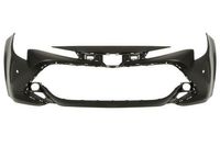 Bumper 5510008140901Q