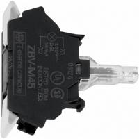 Schneider Electric LED-element Met fitting Wit 24 V/DC, 24 V/AC 1 stuk(s) - thumbnail